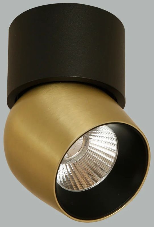 Isha Tiltable Brass LED Spot Light