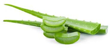 aloe vera gel