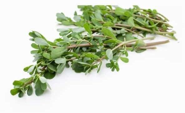 Dried Green Parupu Keerai Seed