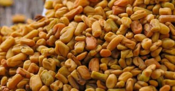 Fenugreek Seed