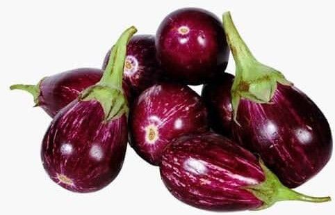 fresh brinjal