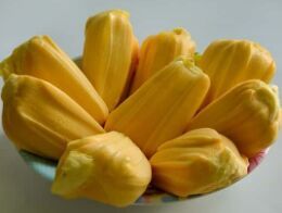 Fresh Jackfruit, Color : Green Or Yellow