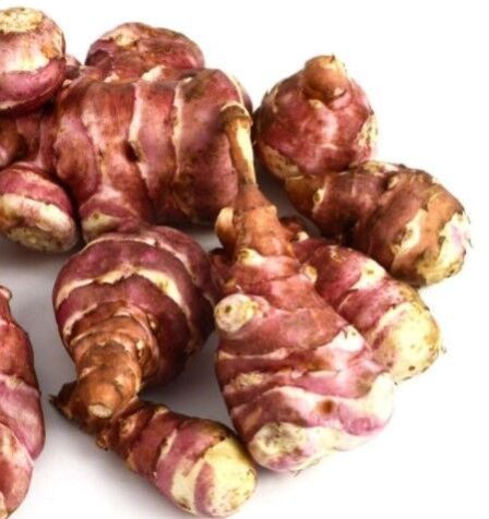 Fresh Jerusalem Artichoke