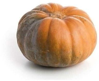 fresh pumpkin