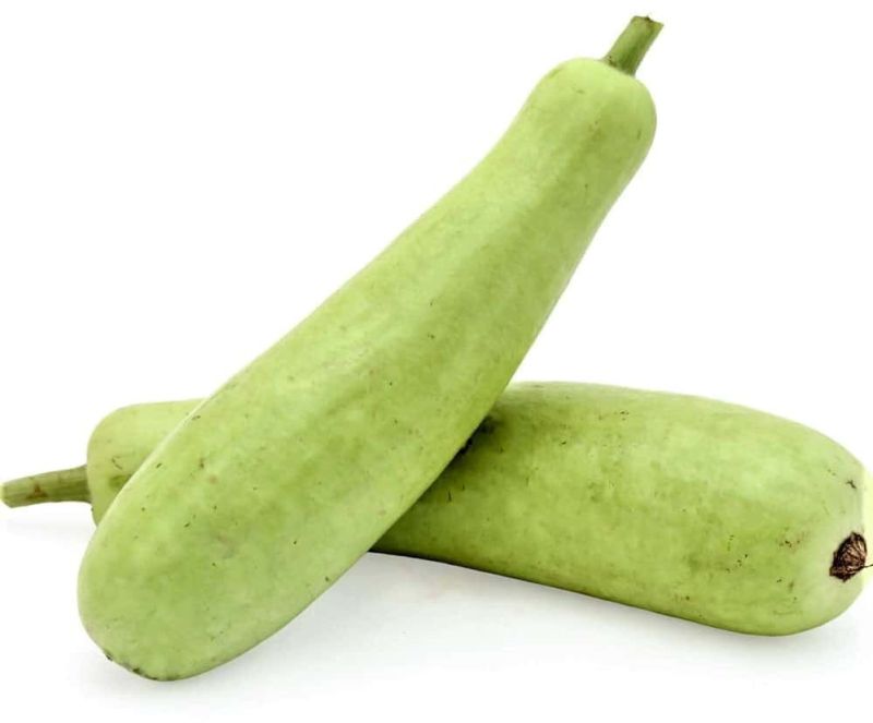Green Organic Fresh Bottle Gourd