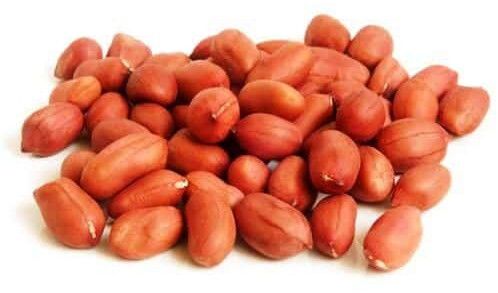 groundnut seeds