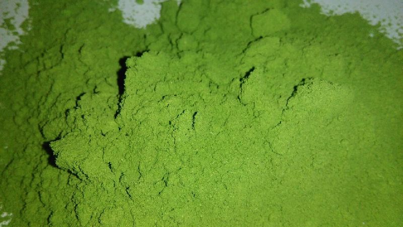 Moringa Dry Leaf Powder