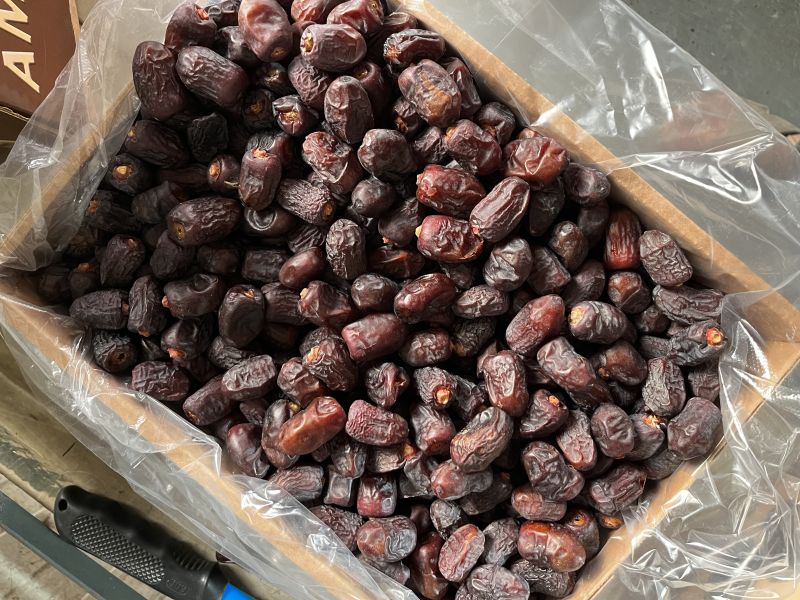 mazafati dates