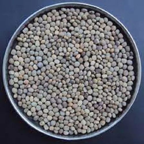 Hybrid Cluster Bean Seeds, Packaging Size : 100 GM for Agriculture