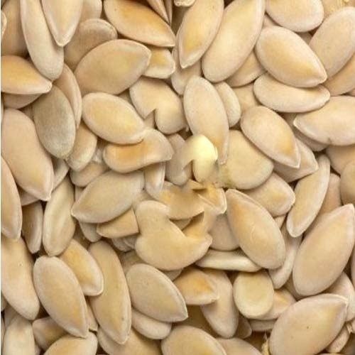 Organic Hybrid Cucumber Seeds Dried, Packaging Size : 50g