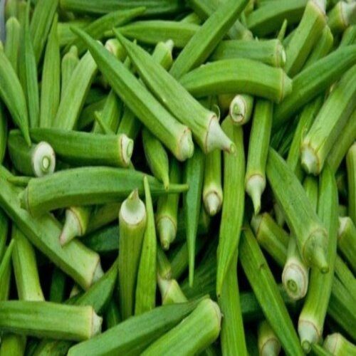 Okra, Packaging Type : Light Green for Human Consumption