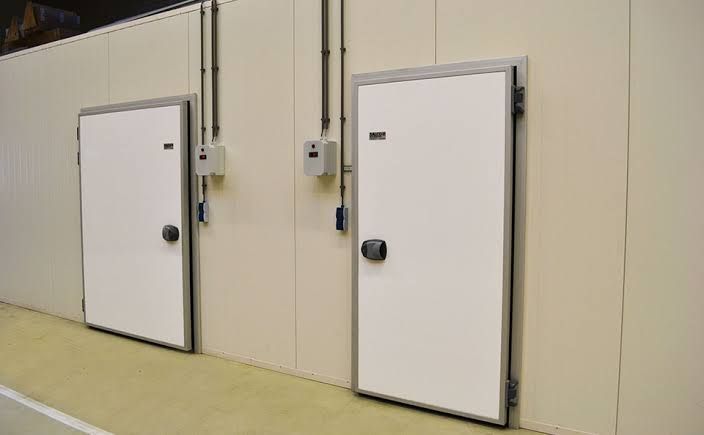 Cold Room Door