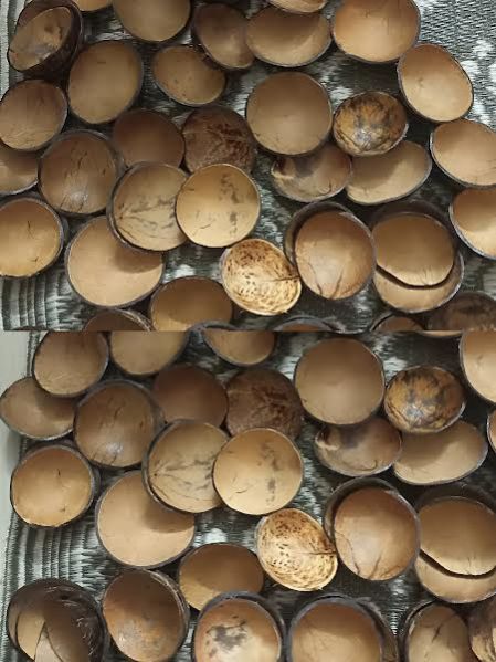 Coconut Shell Mixing Bowl