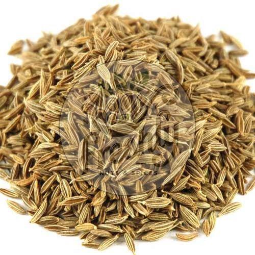 Singapore 99 Cumin Seed, Packaging Size : 5-25kg Food Grade