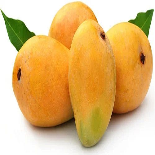 A Grade Fresh Alphonso Mango