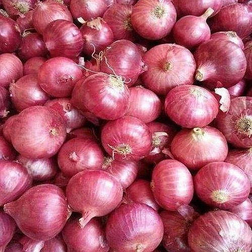 Maharashtra A Grade Fresh Pink Onion
