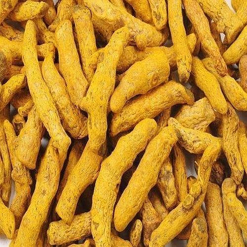 Polished Turmeric Finger, Color : Bright Yellow for Spices
