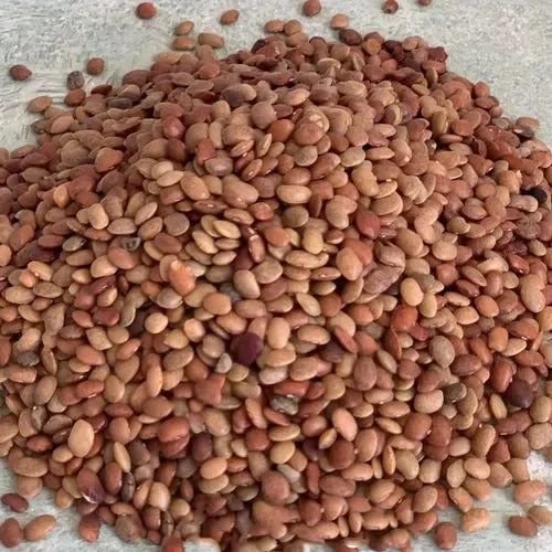 A Grade Brown Horse Gram