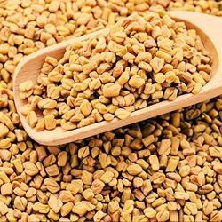 Natural A Grade Fenugreek Seeds, Purity : 99.9%