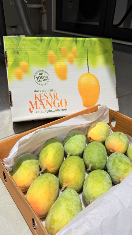Organic Kesar Mango
