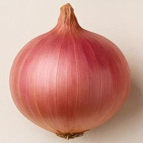 Dry Red Golta Onion