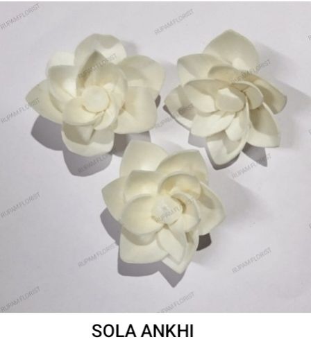 Natural White Sola Wood Flowers