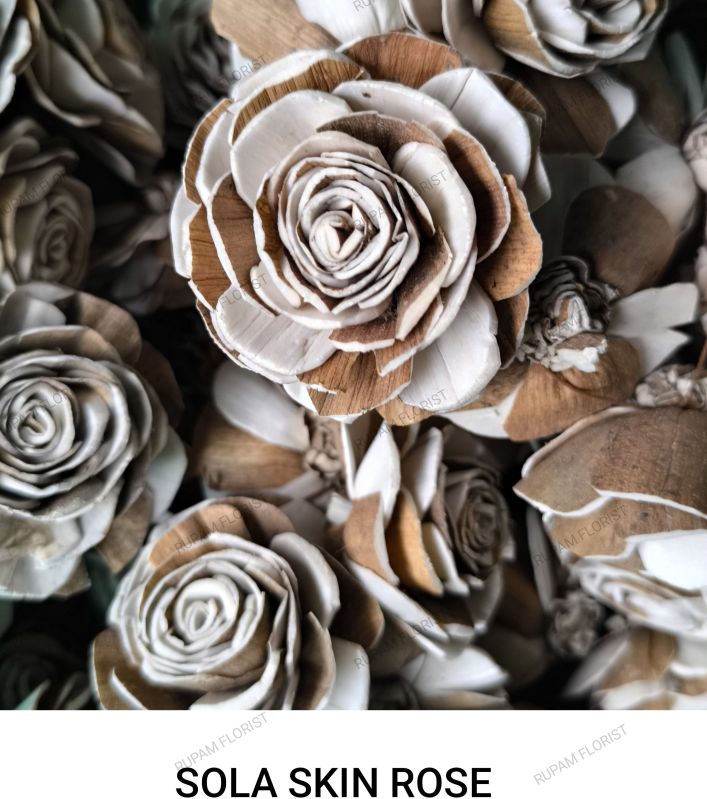 Brown Skin Rose Sola Wood Flowers