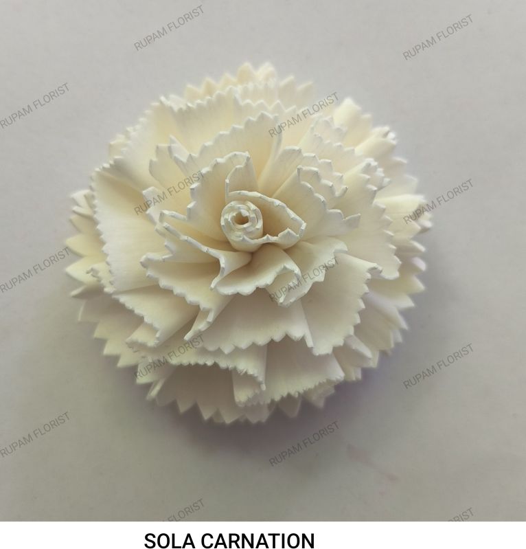 Carnation Sola Wood Flowers