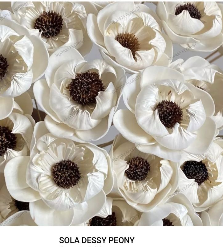 Dessy Peony Sola Wood Flowers