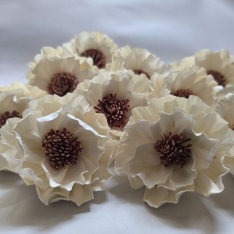 Sola Open Peony Flower