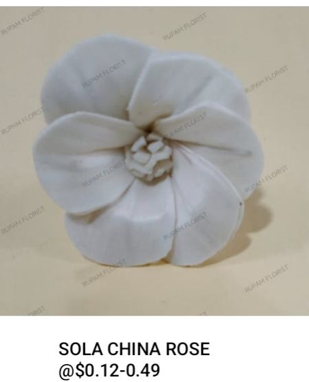 Sola China Rose Flower