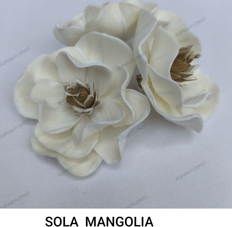 Sola Wood Mangolia Flowers