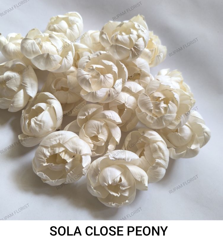 Sola Wood Peony Flowers