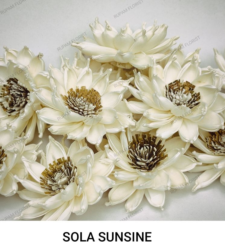 Sola Wood Sunshine Flowers