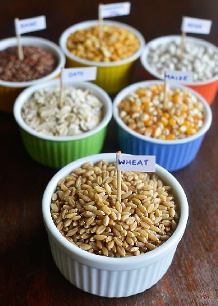 Natural Multigrain Flour, Color : Creamy, White, Form : Powder