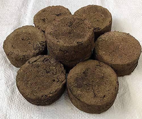 Cow dung cake, Shape : Round, Packaging Type : Brown