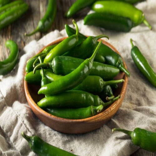 Organic green chilli, Packaging Size : 25Kg