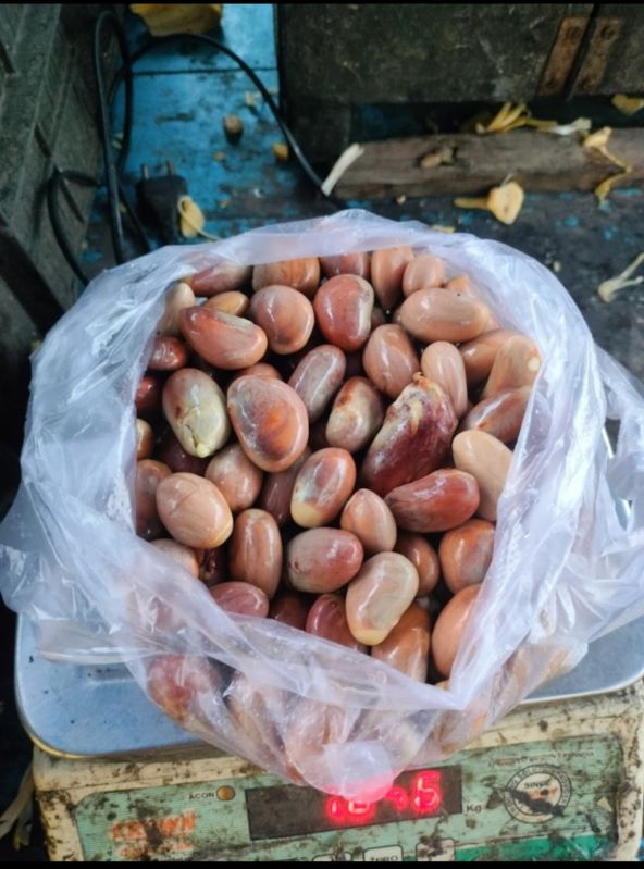 Jackfruit Seeds