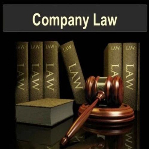 Company Law Consultant