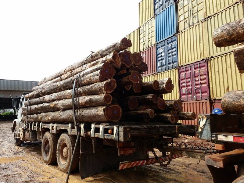 Teak Logs