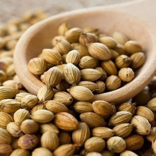 Organic Coriander Seeds, Seed Type : Natural, Packaging Type : Brown