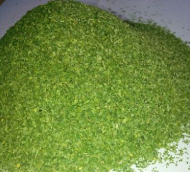 Moringa Products