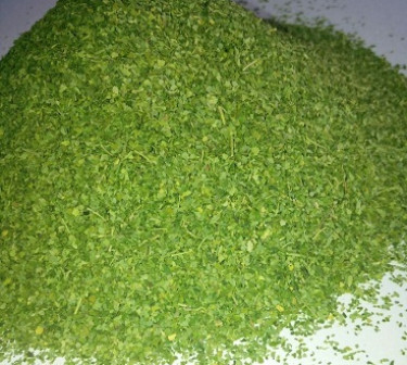 Moringa Tea Cut