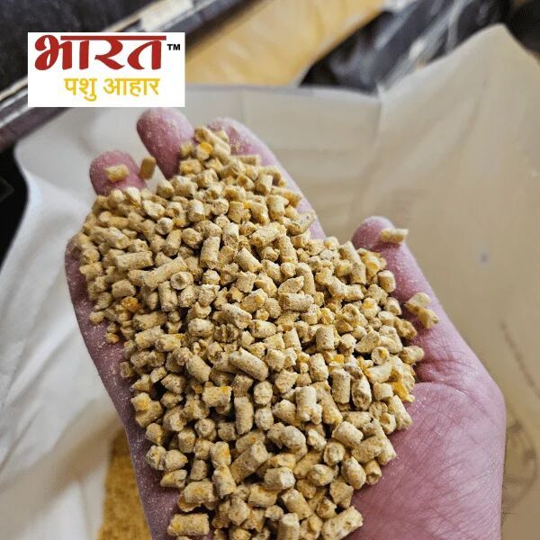 Maize Pellets