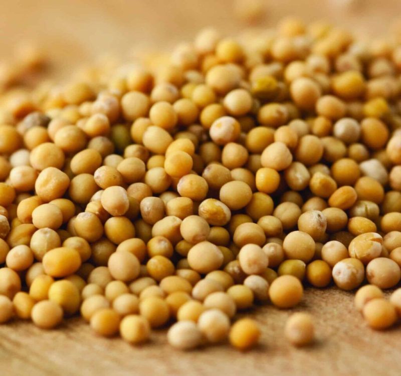 mustard seeds