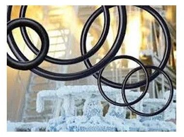 Ffkm O Ring For Industrial