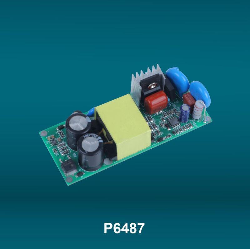 24W Waterproof Isolated Driver - Pro Series