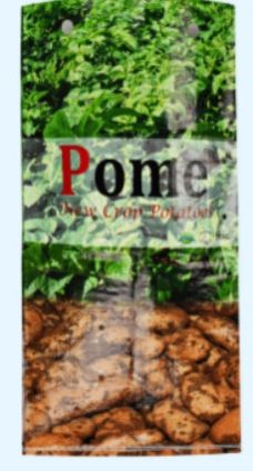 Polypropylene (PP) BOPP Laminated PP Woven Sack