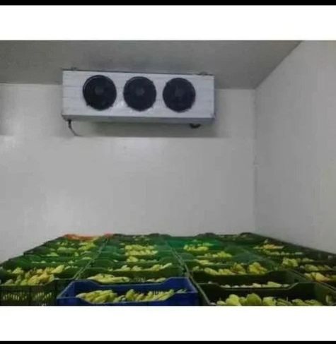 Blue Star Banana Ripening Chamber