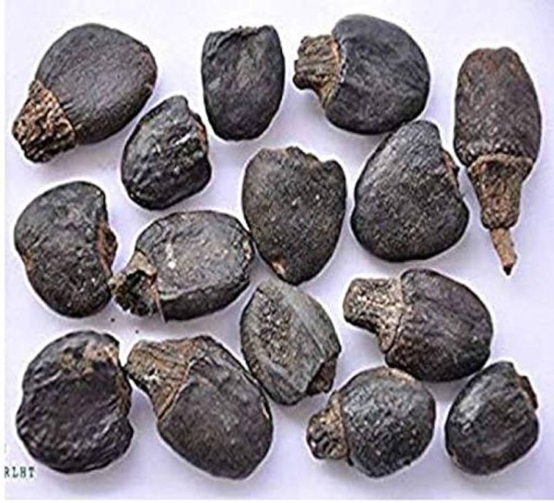 Black Bhilawa Seeds